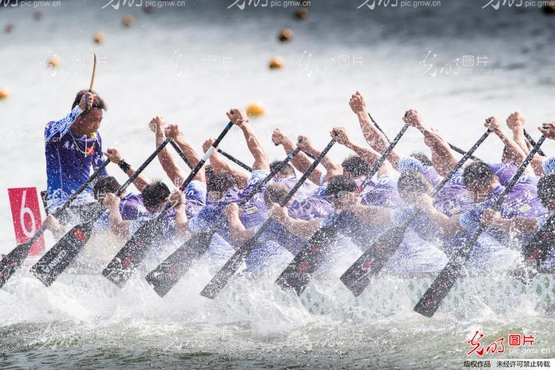 湖南龍船比賽視頻觀看與體驗(yàn)指南，精彩瞬間一網(wǎng)打盡！