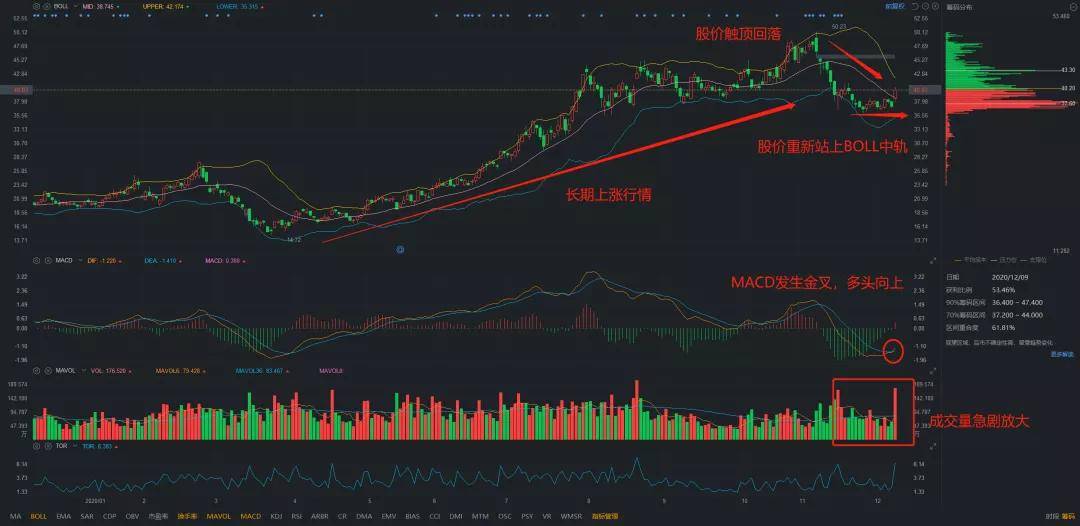 歌爾股票，小巷深處的隱藏寶藏揭秘，特色小店的股市奇妙之旅