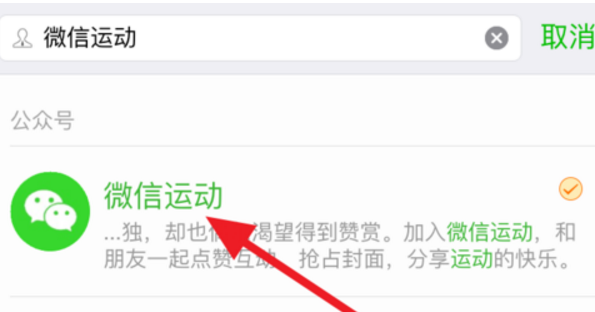 微信步數排行榜揭秘，巷弄深處的神秘小店，步步驚喜探險之旅