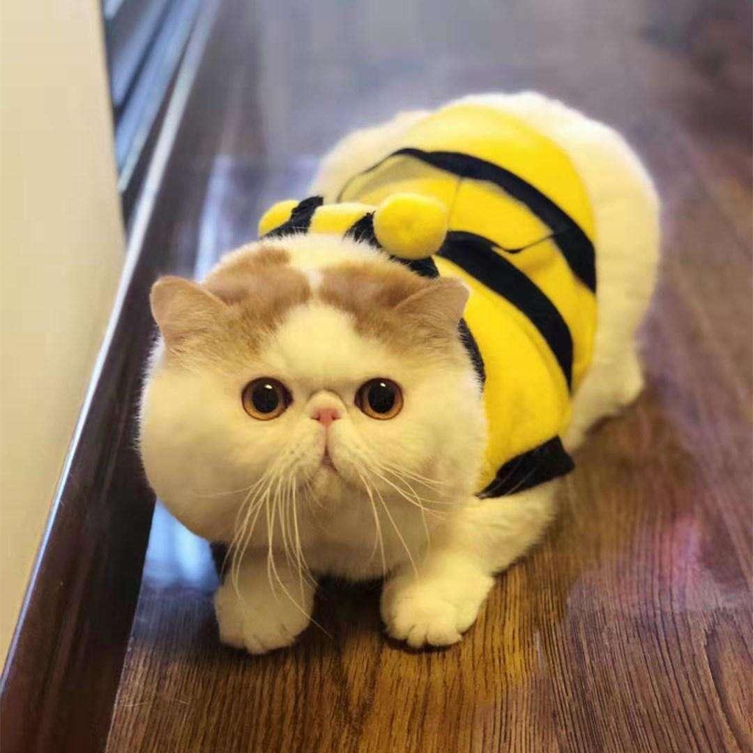 辦公打印 第264頁