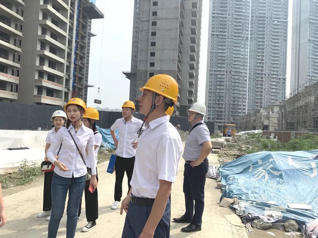 成都洺悅府最新動(dòng)態(tài)揭秘，科技府邸，未來(lái)生活搶先體驗(yàn)