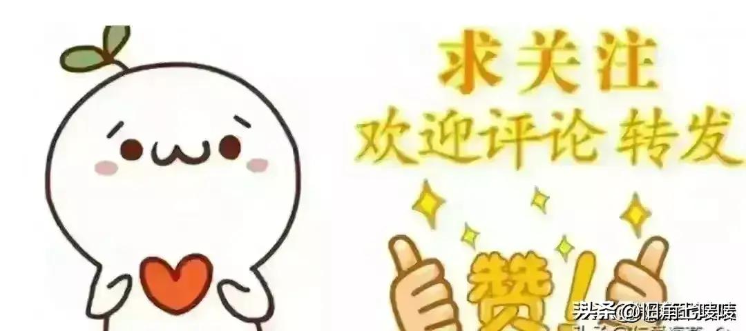 ＂2024全年資料免費(fèi)大全功能＂的：執(zhí)行機(jī)制評估_用心版4.76