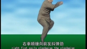 太極最新版本下載，時(shí)代技術(shù)結(jié)晶，全新體驗(yàn)等你來探索