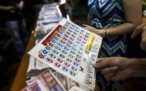 ＂2024香港歷史開獎結(jié)果與記錄＂的：全面設計實施_旅行助手版5.56