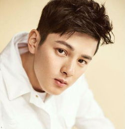 方齊苗最新個人資料揭秘，個人信息獲取與整理步驟指南