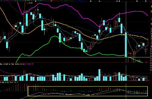 波動行情與內心寧靜的探索之旅，自然美景下的心靈對話