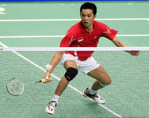 陶菲克羽毛球比賽視頻，觀看與學(xué)習(xí)指南