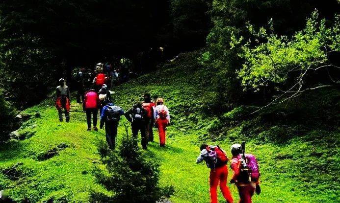 最新后峽動(dòng)態(tài),最新后峽動(dòng)態(tài)，發(fā)展與變化的深度探索