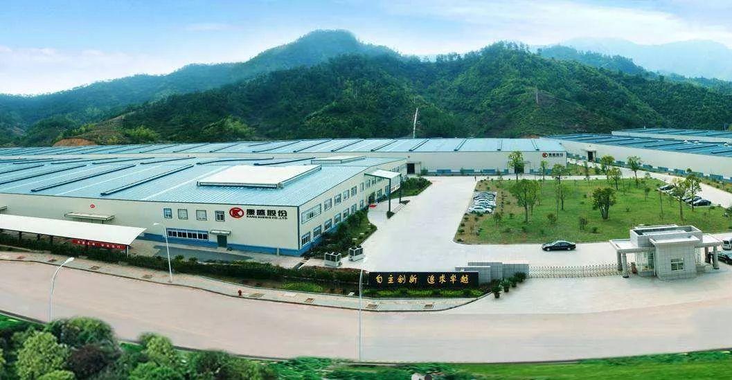 金龍汽車股票觀點深度解析