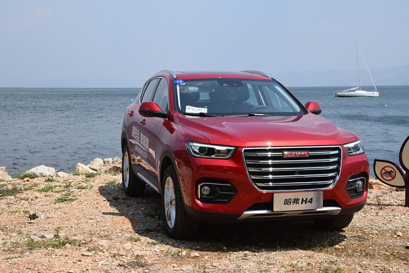 哈佛最新，自然美景治愈之旅探索