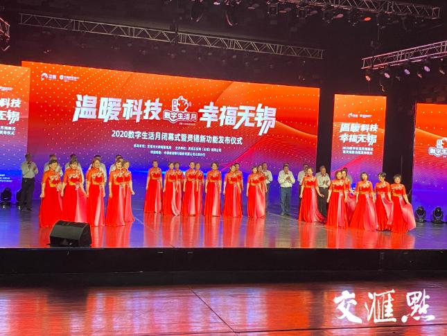 時(shí)代背景下的軟件崛起之旅，最新靈錫下載