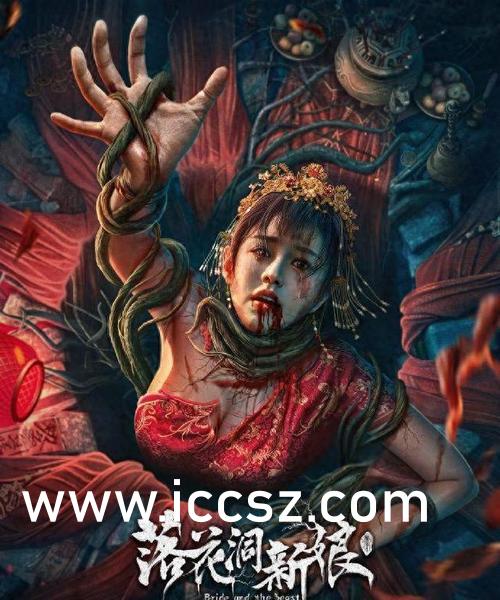 Seso最新資訊詳解，獲取與理解步驟指南