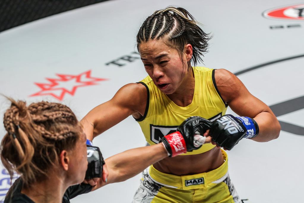 綜合格斗比賽，自然美景中的精神之旅對決