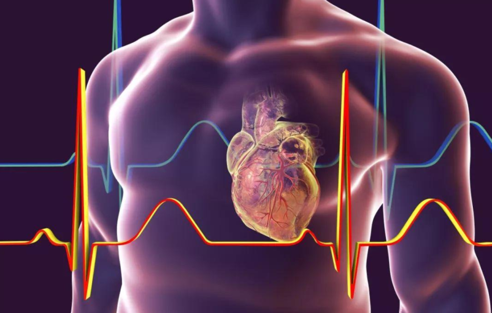 ＂新奧長(zhǎng)期免費(fèi)資料大全＂的：科學(xué)分析嚴(yán)謹(jǐn)解釋_銳意版3.78