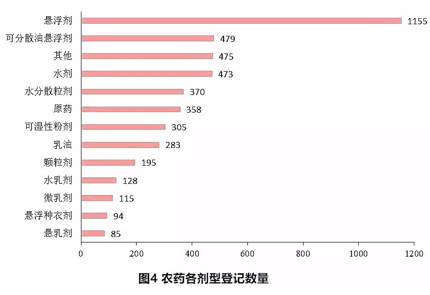 三七未來(lái)行情，自然美景中的旅行探索之旅