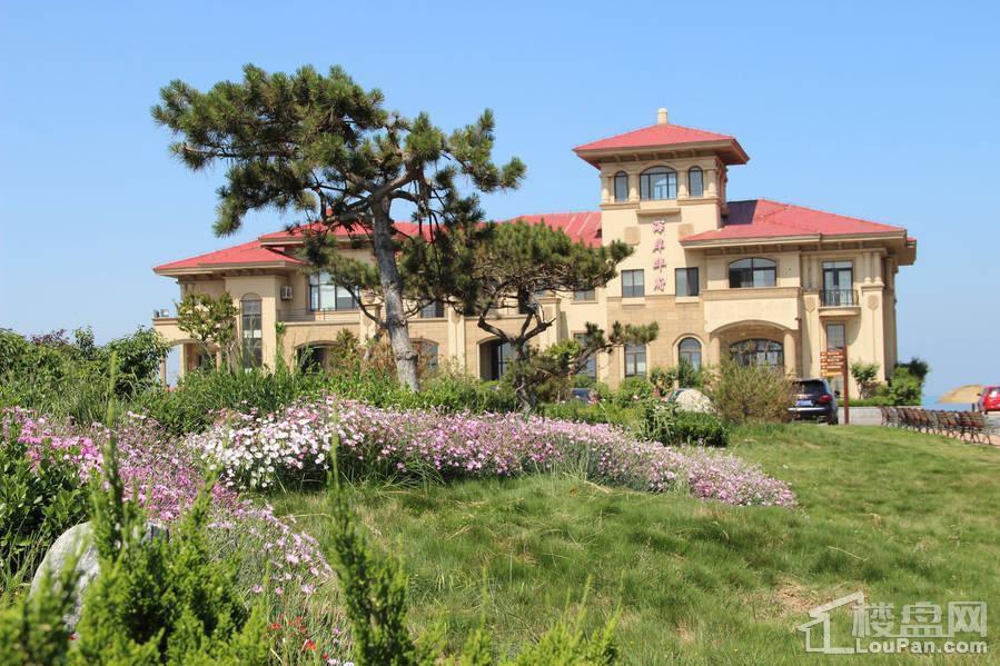 龍口海岸華府最新房價(jià)深度解讀與資訊匯總