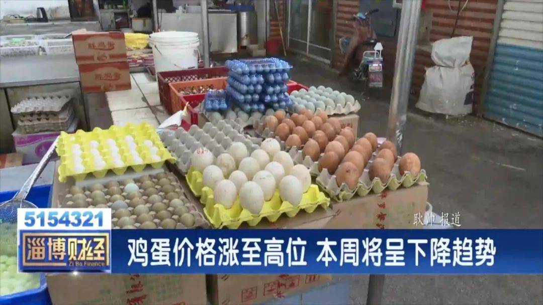 卓創(chuàng)雞蛋價(jià)格行情最新動(dòng)態(tài)