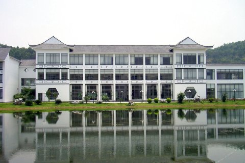 廣州南沙資訊，小巷深處的獨特風情