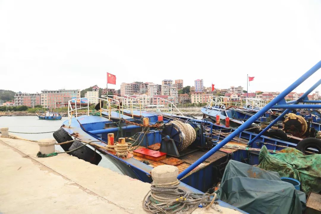 最新漁船更新補貼政策及步驟指南解讀