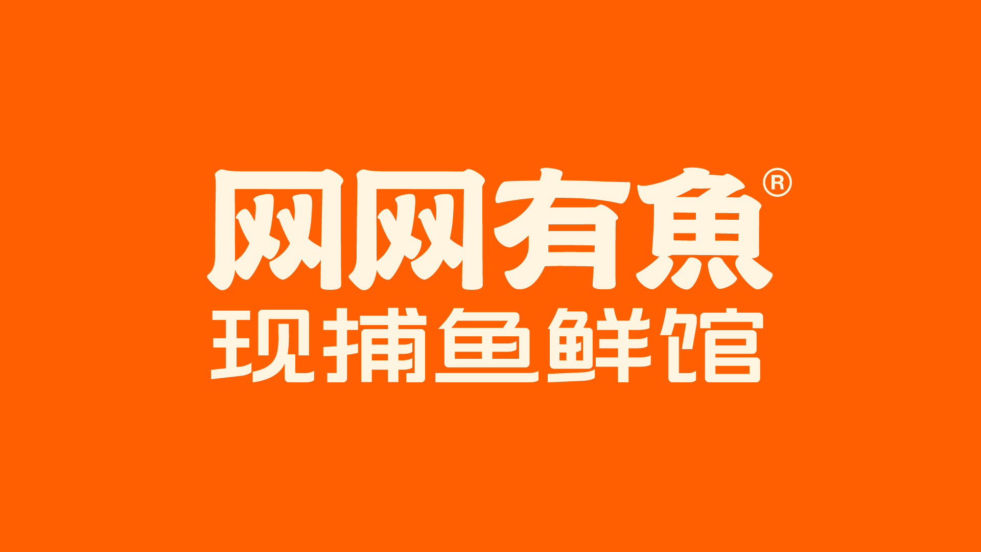 鮮網(wǎng)最新觀點闡述與深度解析