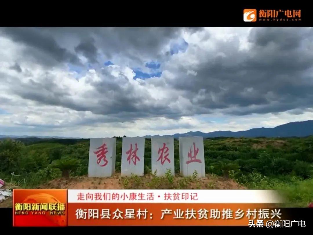 衡陽縣關(guān)市鎮(zhèn)最新資訊，學(xué)習(xí)變化帶來的自信與成就感提升