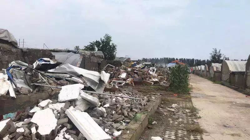 楊鎮(zhèn)拆遷最新動態(tài)，科技引領(lǐng)重塑，開啟拆遷新篇章體驗