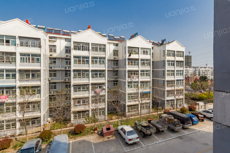 徐州蟠桃花園最新房價(jià)詳解，獲取與解讀指南