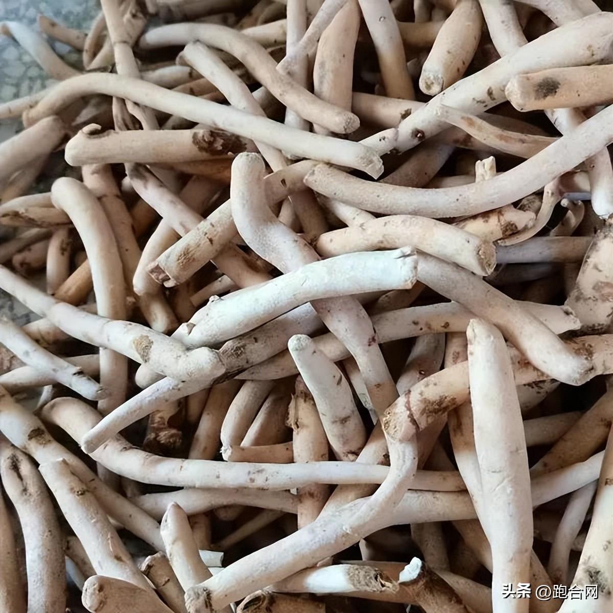 毫州藥材最新價(jià)格表，學(xué)習(xí)變化，成就自信之源