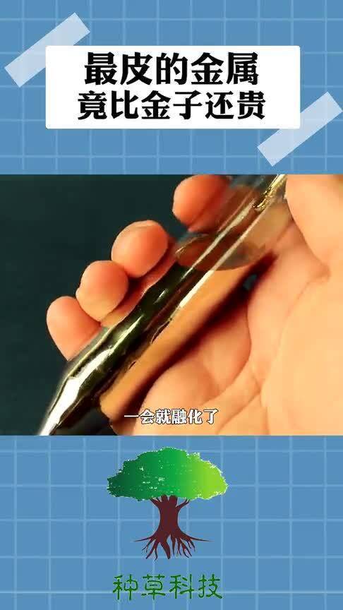 貴重金屬行情深度解析，市場(chǎng)趨勢(shì)與影響因素探討