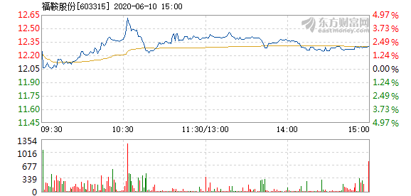 福鞍股票,福鞍股票——投資者的明智之選，開啟財富新篇章！