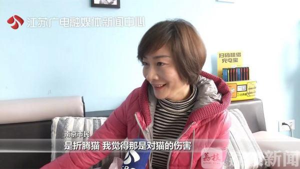 探索小巷中的神秘貓咪大賽，參賽指南與攻略