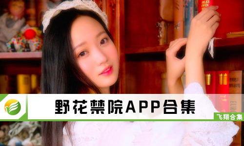 野花最新網(wǎng)址，網(wǎng)絡(luò)時代的獨特風景探索