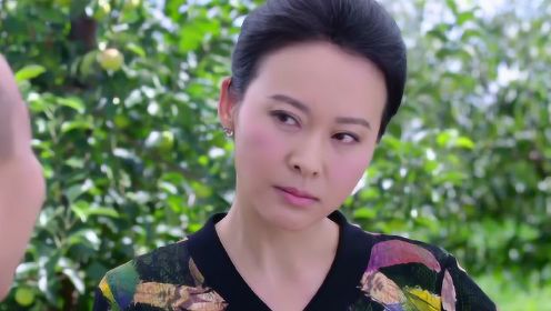 雙喜盈門演員，星光熠熠下的演技璀璨展現(xiàn)