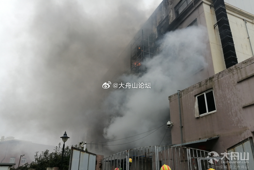 舟山火災(zāi)最新動態(tài)，小巷深處的獨特?zé)熁鹞C(jī)