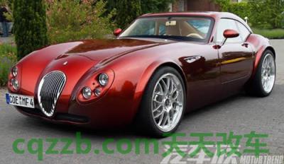 最新威茲曼解析及觀點(diǎn)論述綜述