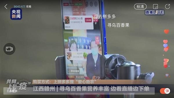 尋烏最新資訊深度解析，觀點(diǎn)闡述與最新動(dòng)態(tài)報(bào)告