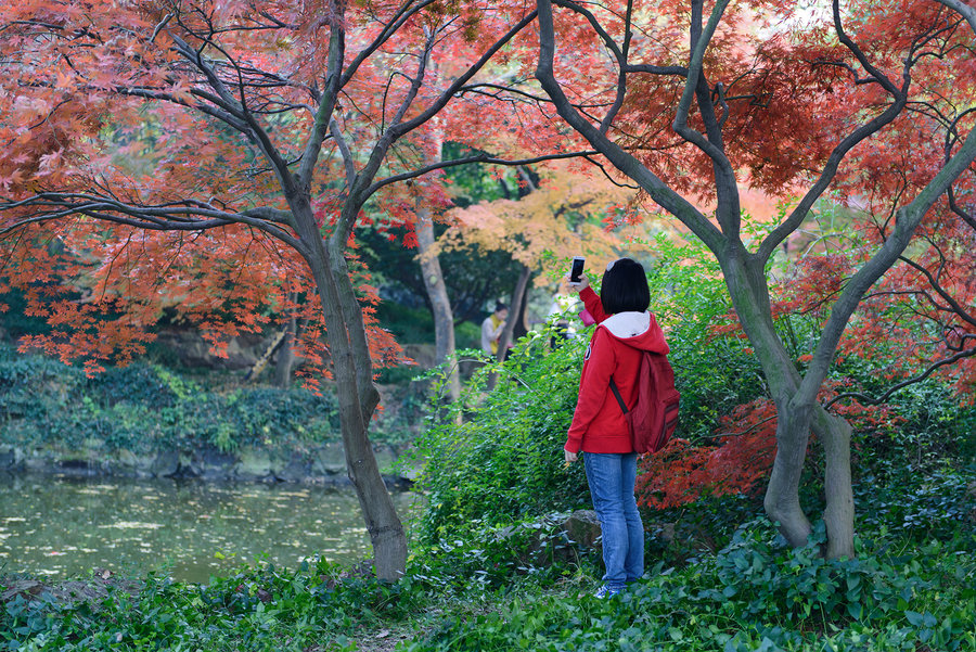 秋霞精選，電影藝術(shù)的獨(dú)特魅力及其深遠(yuǎn)影響