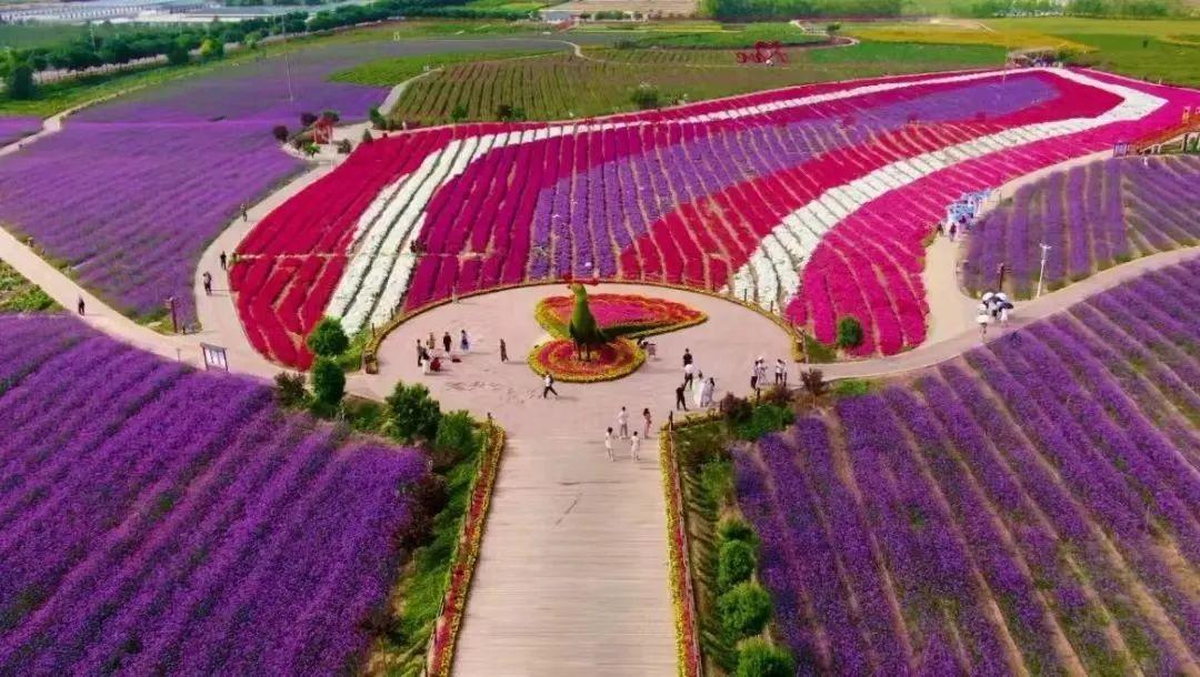 今日白銀市場動態(tài)概覽