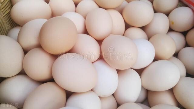 浙江雞蛋行情深度解析與預測報告