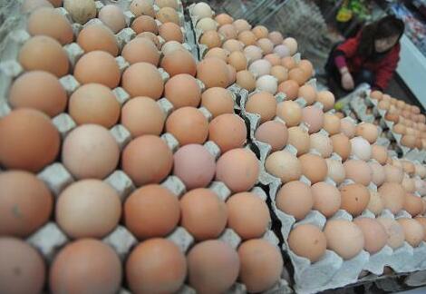 浙江雞蛋行情深度解析與預測報告
