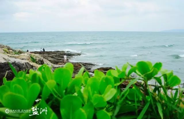 惠東鹽洲島旅游攻略,??惠東鹽洲島旅游攻略??