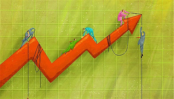 證金公司股票動態(tài),證金公司股票動態(tài)，一場自然美景的探索之旅