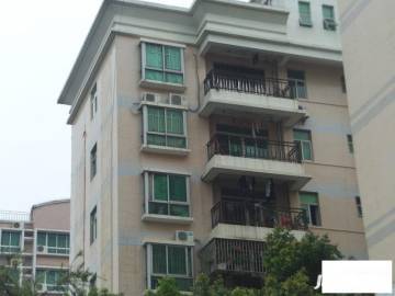 福田區(qū)二手房最新市場價,福田區(qū)二手房最新市場價，一場探索自然美景的旅行