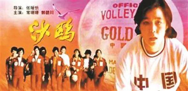 沙鷗電影,沙鷗電影，一種藝術(shù)表達(dá)方式的深度探討