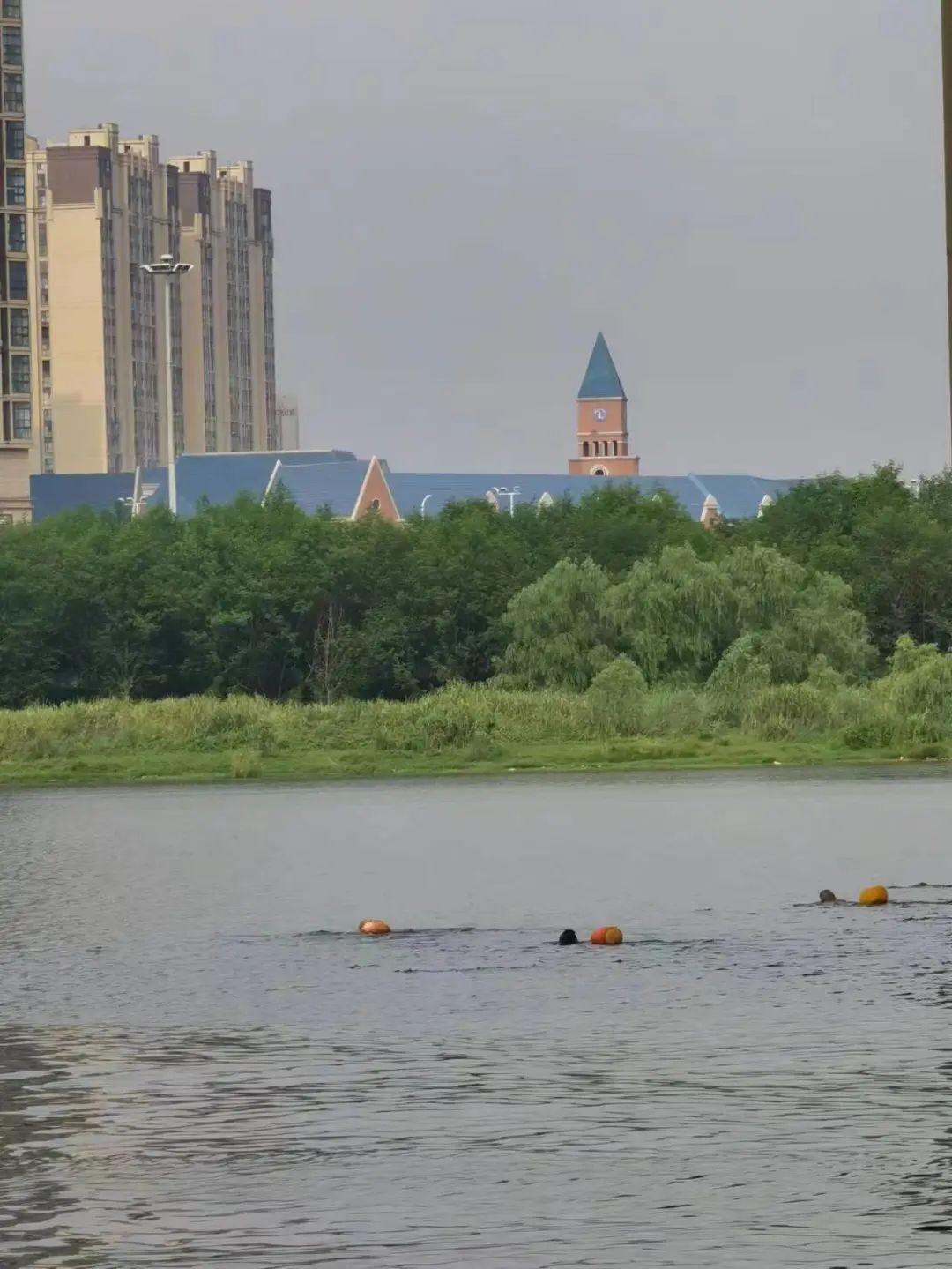 最新野泳之旅，自然美景的探索與愉悅體驗(yàn)
