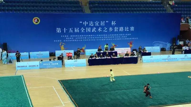 山東武術(shù)大賽，傳承與榮耀的盛宴，展現(xiàn)武術(shù)風(fēng)采的盛事！