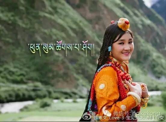 最新藏族音樂(lè)精選合集