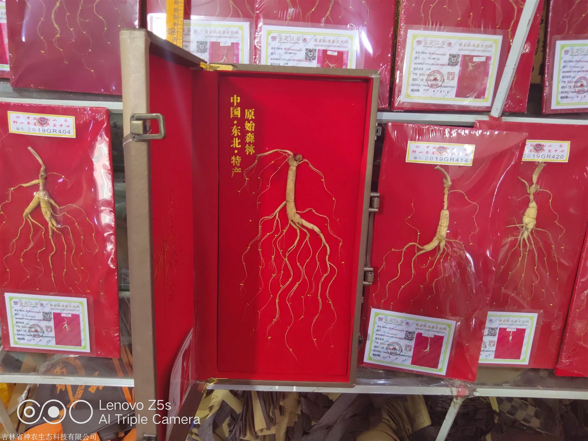 人參價(jià)格解析，市場(chǎng)走勢(shì)、品質(zhì)差異及影響因素深度探討