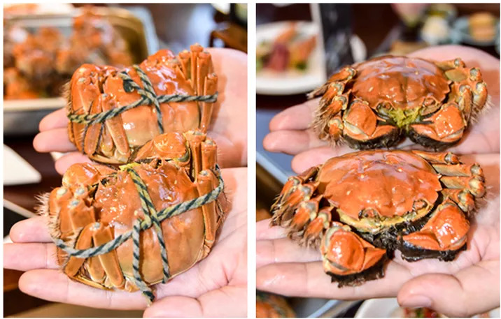 杭州海鮮盛宴，探索自然美景之旅，尋找內心寧靜的味蕾之旅