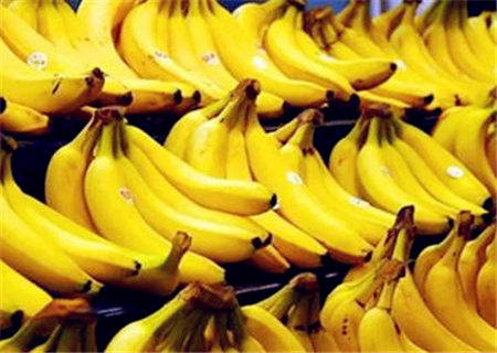 揭秘2017年香蕉行情走勢預(yù)測